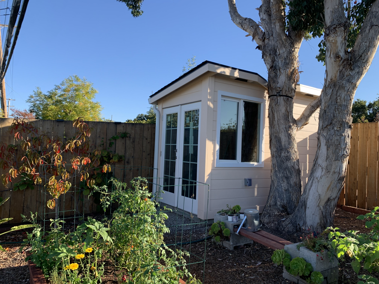 Backyard shed construction with siding, windows, and French doors by Cut Once Construction.