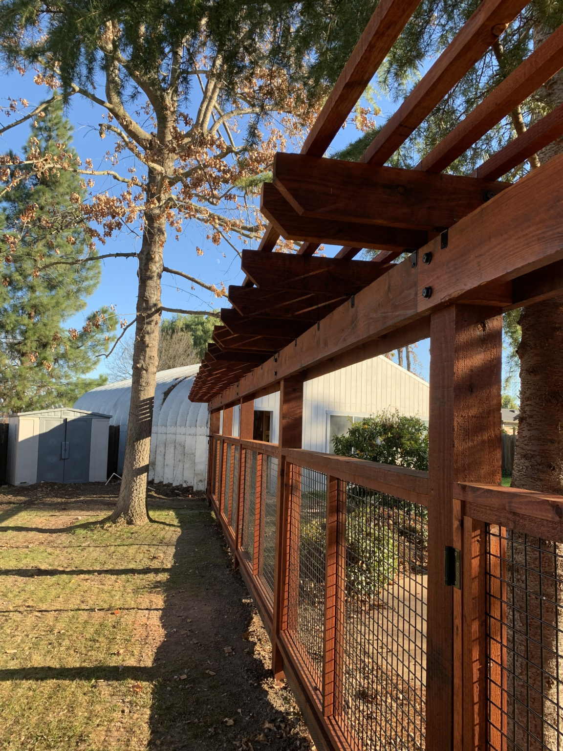 Redwood hog wire fence with overhead trellis structure and framed wood panels.